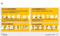   探索SFCH虚拟币：未来数字货币的先驱还是昙花