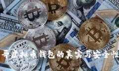 墨西哥虚拟币钱包的真实与安全性探讨