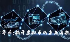 中华币：揭开虚拟币的未来与挑战