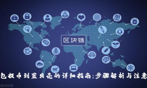 TP钱包提币到蓝贝壳的详细指南：步骤解析与注意事项