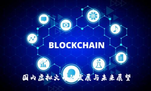 国内虚拟火币的发展与未来展望