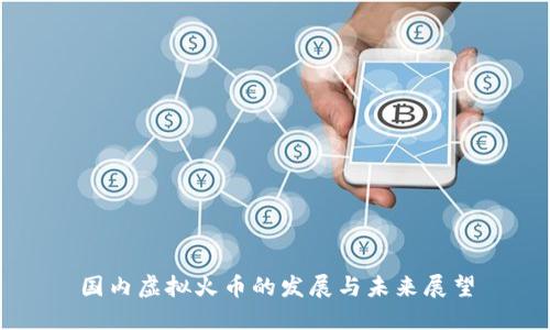 国内虚拟火币的发展与未来展望