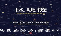 解锁虚拟币的巨大潜力：探索EXP的未来之路