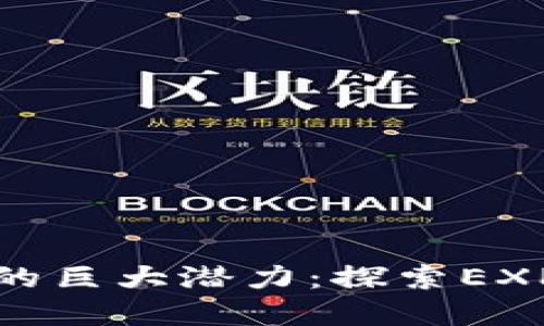 解锁虚拟币的巨大潜力：探索EXP的未来之路