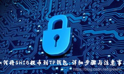 如何将SHIB提币到TP钱包：详细步骤与注意事项