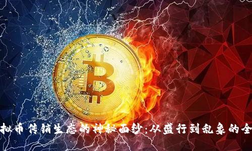 揭开虚拟币传销生态的神秘面纱：从盛行到乱象的全景揭秘