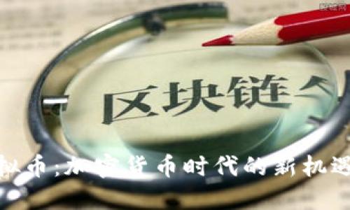 DMS虚拟币：加密货币时代的新机遇与挑战