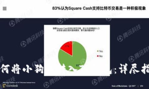 如何将小狗币转入TP钱包：详尽指南
