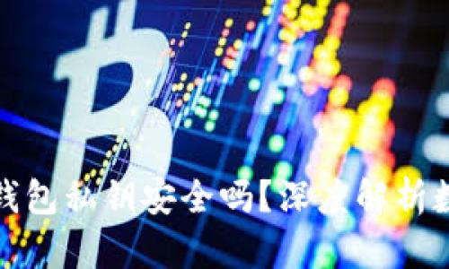 TP钱包生成的钱包私钥安全吗？深度解析数字货币安全性