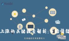 虚拟币价格上涨的关键因素解析：市场情绪与技
