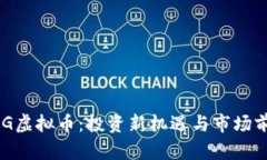 揭秘DKG虚拟币：投资新机遇与市场前景分析