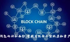 揭开虚拟币钱包的神秘面纱：掌握高级命令实现