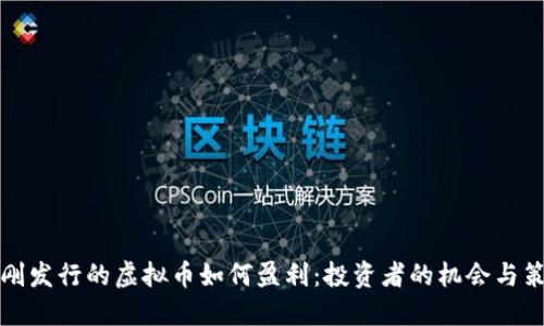刚刚发行的虚拟币如何盈利：投资者的机会与策略