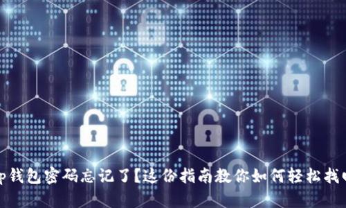 tp钱包密码忘记了？这份指南教你如何轻松找回